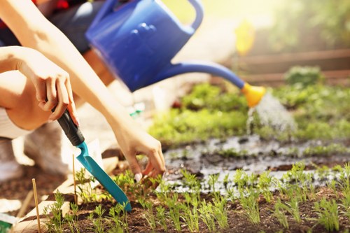 The image shows a gardener working in a small outdoor garden, with a focus on the planting area where young seedlings are growing in well-tilled, dark soil. In the background, a blue watering can is being used to water the plants, adding a natural, lush green tone to the scene. The garden is bordered by wooden edges, with some small stakes supporting the seedlings. The surrounding environment features a grassy lawn with a slightly uneven texture, and a pathway or patio area made of paving stones is partially visible. Sunlight illuminates the space, indicating a bright, clear day, and the scene has a fresh, vibrant atmosphere typical of well-maintained outdoor spaces in London postcodes such as SE1 or SW1. This image reflects gardening practices related to planting and soil care, relevant to landscaping and garden maintenance services offered by Landscapers Elephant and Castle.