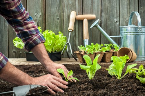 Illustration of a landscaping website using essential cookies