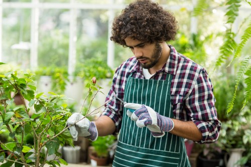 A young man with curly brown hair, wearing a green and white striped apron over a checkered shirt and gardening gloves, is carefully examining a small branch with pink buds in a lush greenhouse. The greenhouse environment is filled with vibrant green foliage, including various flowering plants and leafy shrubs, with sunlight filtering through the glass panes, illuminating the plants. The background shows additional potted plants and a bright, well-maintained space dedicated to gardening activities typical of outdoor and landscape maintenance services in Elephant and Castle, suggesting detailed plant care in a controlled environment.