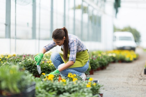 A woman wearing a plaid shirt, green gardening apron, and gloves is kneeling on a garden path in a greenhouse, tending to colourful flower beds with yellow and purple blooms. The outdoor space features a neatly maintained lawn and a gravel pathway bordered by flower beds. In the background, transparent glass panels of the greenhouse allow natural light to illuminate the scene, with a white vehicle and lush greenery visible beyond. The garden setting appears well-kept, with healthy plants, and the overall environment suggests a professional landscaping or gardening project in the Elephand and Castle area. This scene reflects active outdoor maintenance and planting work that landscaping services like those provided by Landscapers Elephant and Castle may support for local residential or commercial gardens.