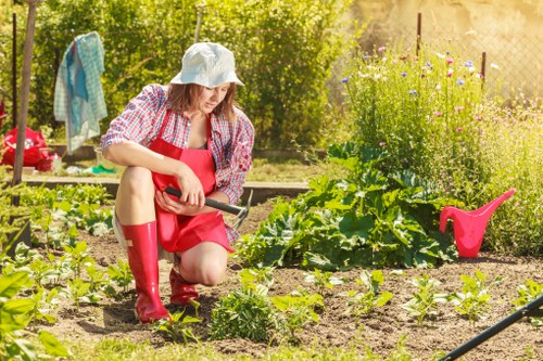 A woman wearing a light blue sun hat, red gardening apron, and red rain boots kneels in a well-maintained garden, tending to young green vegetable plants in neatly arranged beds. The garden features a mix of soil pathways and various leafy plants, with some taller plants and flowering herbs in the background, bathed in warm sunlight typical of a clear day in Elephant and Castle. Behind her, a clothesline with hanging towels and garden tools, including a pink watering can, are visible, along with lush trees and shrubs providing a natural backdrop. The scene illustrates a well-organized outdoor space focused on sustainable gardening practices, reflecting the services offered by Landscapers Elephant and Castle in maintaining and cultivating eco-friendly gardens in the local area. The image emphasizes the clarity of outdoor elements such as planted beds, soil textures, and vibrant greenery, creating a natural connection to gardening and landscaping services aimed at enhancing residential outdoor spaces in London postcode areas nearby.