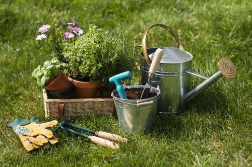 Eco-friendly lawn care practices in action