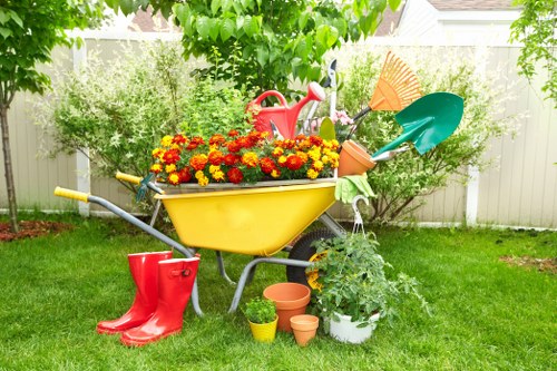 Safe tree removal process by experts in Elephant and Castle