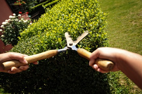 A close-up view of two hands holding garden pruning scissors with wooden handles, trimming a dense, neatly shaped green hedge in a garden. The hedge has small, vibrant green leaves and is part of a landscaped outdoor space. In the background, there is a lush white-flowered shrub, a well-maintained lawn with rich grass, and a sunny sky indicating pleasant weather. The scene is a typical garden setting, emphasizing maintenance and landscaping activities associated with outdoor gardening services in Elephant and Castle. The overall environment reflects a tidy, well-kept garden area with clear attention to plant care and landscape aesthetics.