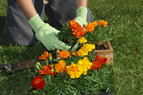 Healthy soil preparation for urban gardens in Elephant and Castle