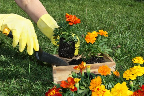 The image shows a gardener's gloved hand using a small trowel to plant a vibrant, orange-flowered plant into a rectangular wooden planter box situated on a well-maintained grassy lawn. In the foreground, there are additional orange and yellow flowering plants, with some soil visible inside the planter. The background features a lush green lawn and the overall scene is set outdoors on a bright, sunny day, indicating active garden cultivation that complements outdoor gardening services offered by Landscapers Elephant and Castle in London. The environment appears tidy and well cared for, emphasizing the importance of proper planting and garden maintenance in residential or community gardens within the local area, potentially in or near the postcode SE1 or SE5 in Elephant and Castle, London.