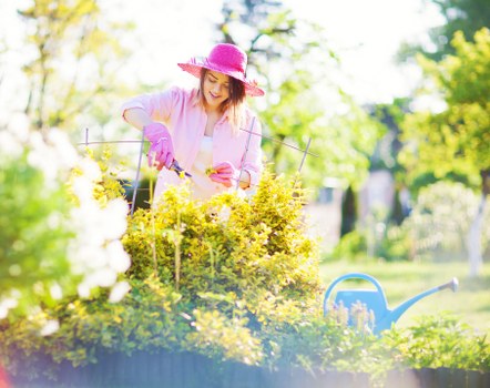 A woman in a pink wide-brimmed hat and pink gardening gloves is tending to a garden border filled with yellow and white flowering plants. She is holding gardening scissors and appears to be pruning or shaping the plants. The garden features a mix of vibrant green foliage, with a neatly maintained lawn in the foreground and a backdrop of trees with fresh spring leaves. Sunlight filters through the branches, creating a bright and welcoming outdoor environment. Nearby, a blue watering can rests on the grass, indicating ongoing gardening activities. The scene is set in a residential garden area, possibly in Elephant and Castle or the surrounding South London district, illustrating a well-kept outdoor space suitable for gardening and landscape maintenance services offered by Landscapers Elephant and Castle. This depiction highlights garden aesthetics, plant care, and outdoor landscape enhancement in a typical UK urban or suburban garden setting.