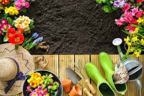 Cleared garden space in Elephant and Castle