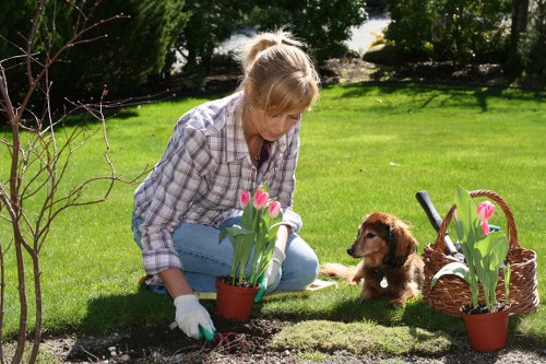 A woman dressed in a casual checkered shirt and light blue jeans is kneeling on a well-maintained green lawn in a garden, planting or tending to tulips in a small flower bed surrounded by soil and mulch. The garden features neatly trimmed grass, a border of shrubs and trees in the background providing shade, and a variety of outdoor planting elements. To her right, there is a wicker basket containing additional tulip pots, and a small brown puppy is sitting nearby, attentively watching her work. The outdoor setting is sunny with clear weather, casting natural light across the scene, which highlights the vibrant green of the grass and the fresh pink and green of the tulips. This image reflects a typical gardening activity in an outdoor landscaped area, showcasing the use of outdoor plants, flower pots, and garden tools, relevant to the professional gardening and landscaping services offered by Landscapers Elephant and Castle in the local area near postcode SW. The scene emphasizes a focus on gardening, lawn care, and outdoor maintenance within a residential garden environment.