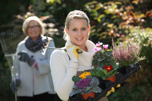 A young woman with blonde hair and a smile, wearing a white sweater and gardening gloves, holds a black tray filled with colorful flowering plants and young shrubs in an outdoor garden space. In the background, an older woman with glasses, a grey sweater, and a scarf is using pruning shears to trim a shrub. The garden features a well-maintained lawn with lush green grass, bordered by a variety of bushes and small trees with green and reddish foliage. The scene is bathed in natural sunlight, suggesting a clear day in an urban garden or backyard setting, typical of outdoor gardening tasks carried out by landscapers in Elephant and Castle. The environment displays a mix of natural textures, including soil, grass, and foliage, with a focus on plant care and landscaping preparation. This image reflects professional gardening activities suitable for residential or community garden maintenance in the London area, supporting services offered by Landscapers Elephant and Castle.