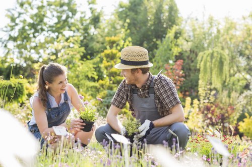 A man and a woman are working together in a well-maintained garden, surrounded by vibrant greenery and colorful flowering plants. The woman, dressed casually in a denim apron and sleeveless top, is holding a potted plant, while the man, wearing a straw hat, checked shirt, and gardening gloves, is kneeling and appears to be planting or tending to the flowers. The garden features a lush lawn with dense grass in the foreground, bordered by neatly arranged flower beds with a variety of plants displaying shades of purple, pink, and yellow. In the background, there are tall trees with bright green leaves, along with some shrubs and flowering bushes, indicating a healthy, thriving outdoor space typical of residential gardens in the Elephant and Castle area. The scene is bathed in natural sunlight, suggesting a clear, pleasant day, and the setting exemplifies outdoor maintenance and gardening activities supported by experienced landscapers, in a location accessible to sustainable gardening practices in London. This detailed view highlights garden layout elements such as flower beds, grass turf, and mature trees, emphasizing natural tones and textures relevant to professional gardening services in the local area.