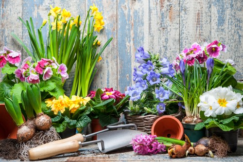 An arrangement of various potted flowering plants on a rustic wooden surface, including yellow daffodils with long green leaves, pink primroses in small containers, white primroses with yellow centers, and purple and blue flowers, all set against a weathered blue wooden backdrop. Gardening tools such as a trowel, hand rake, and small terracotta pots are scattered around the plants, along with bulbs and soil, creating a vibrant display of spring blooms typical of outdoor garden care in Elephant and Castle. The image highlights the natural diversity of garden plantings and gardening activities suitable for local outdoor spaces, supporting gardening and landscaping services offered by Landscapers Elephant and Castle.