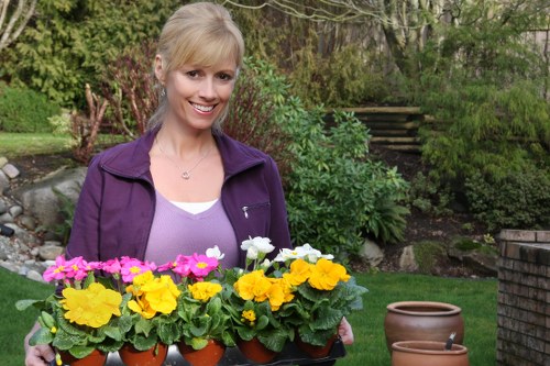 Modern garden design by Elephant and Castle landscaping experts